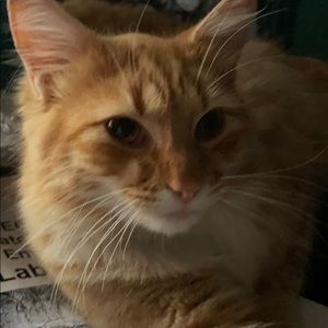 Meet your Posher, Katy